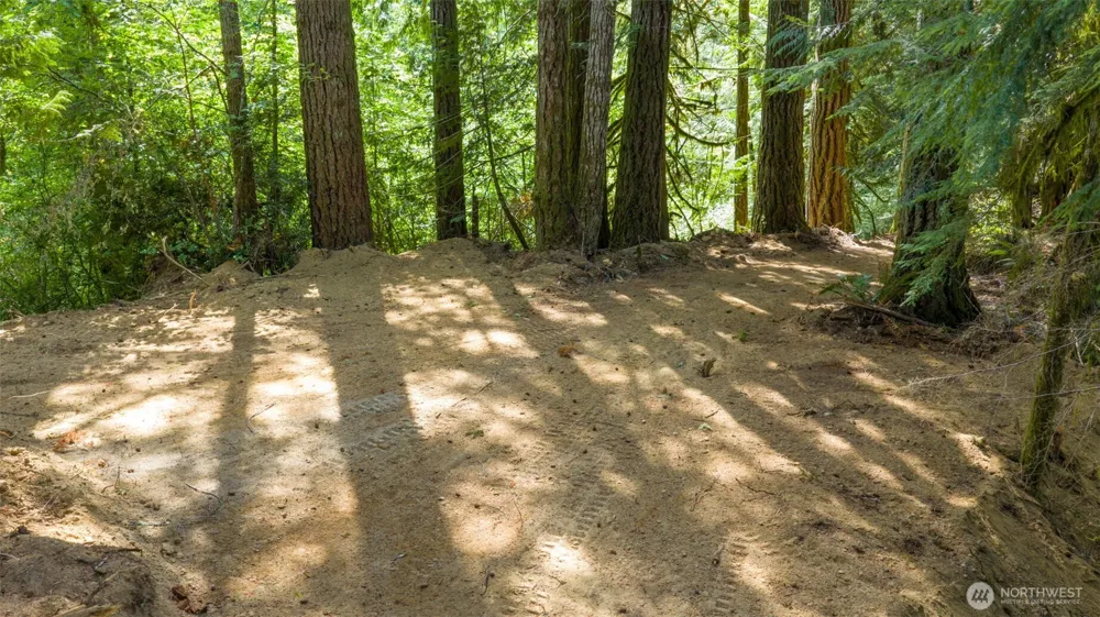 0 Robinson Road Lilliwaup, WA 98555