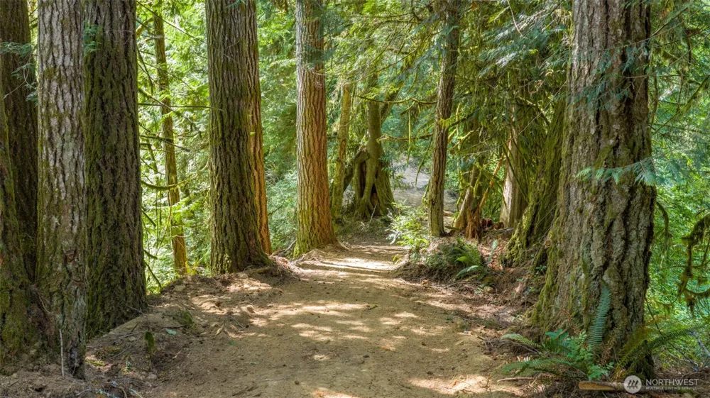 0 Robinson Road Lilliwaup, WA 98555