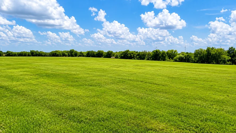 HC 3352 Hubbard, TX 76648
