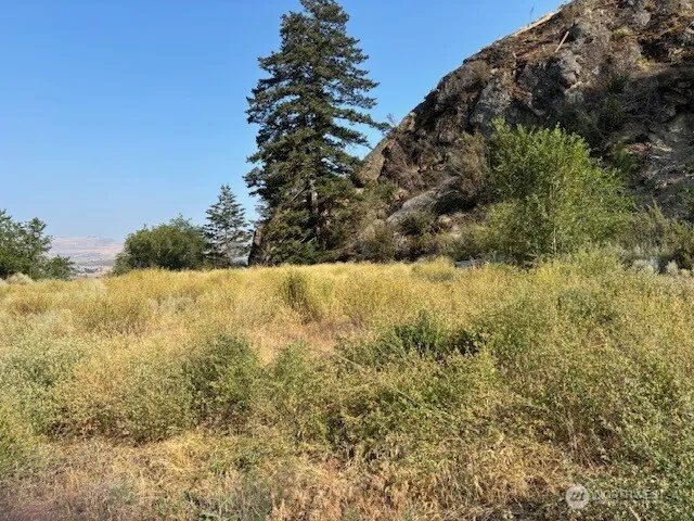 1 SHIRLEY ROAD #4 Oroville, WA 98844