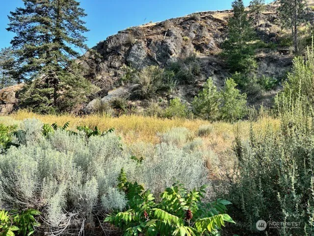 1 SHIRLEY ROAD #4 Oroville, WA 98844