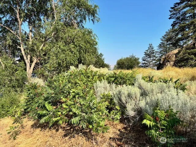 1 SHIRLEY ROAD #4 Oroville, WA 98844