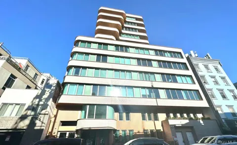 208 Delancey Street #10E
