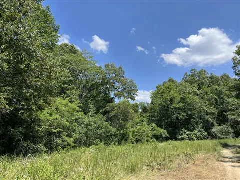 Meadow Creek Drive