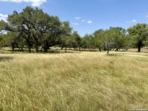 43 ACRES Sattler Rd.