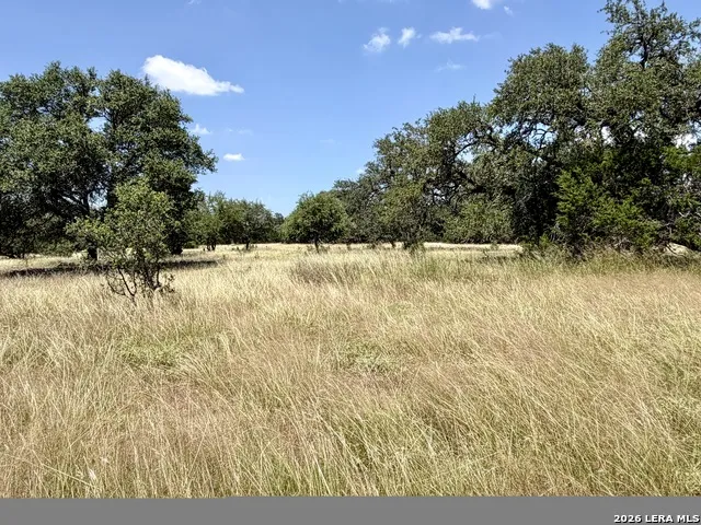 43 ACRES Sattler Rd. Spring Branch, TX 78070