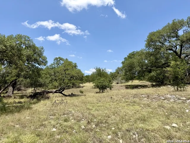 43 ACRES Sattler Rd. Spring Branch, TX 78070