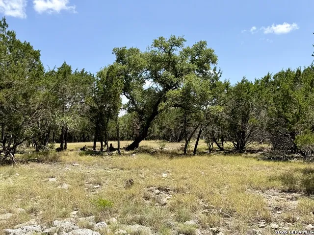 43 ACRES Sattler Rd. Spring Branch, TX 78070