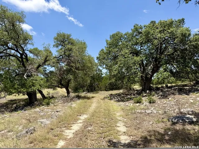 43 ACRES Sattler Rd. Spring Branch, TX 78070