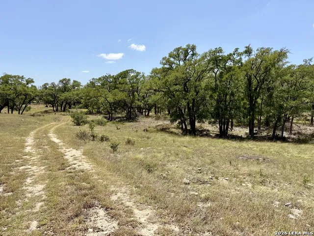 43 ACRES Sattler Rd. Spring Branch, TX 78070
