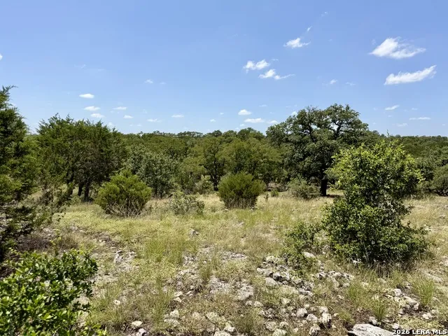 43 ACRES Sattler Rd. Spring Branch, TX 78070