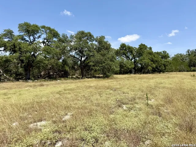 43 ACRES Sattler Rd. Spring Branch, TX 78070