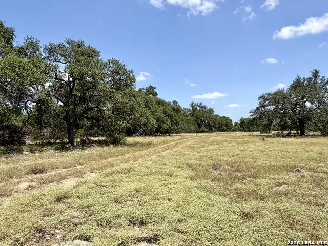 43 ACRES Sattler Rd. Spring Branch, TX 78070