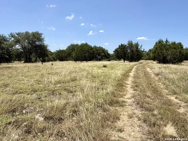 43 ACRES Sattler Rd. Spring Branch, TX 78070