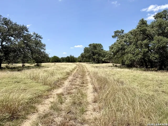 43 ACRES Sattler Rd. Spring Branch, TX 78070
