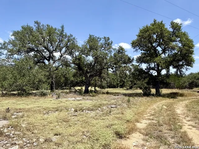 43 ACRES Sattler Rd. Spring Branch, TX 78070
