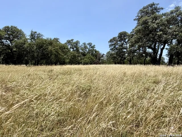 43 ACRES Sattler Rd. Spring Branch, TX 78070
