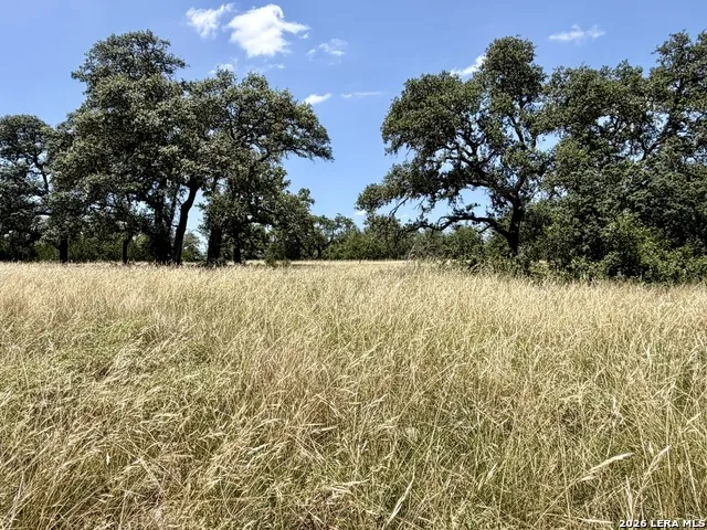 43 ACRES Sattler Rd. Spring Branch, TX 78070