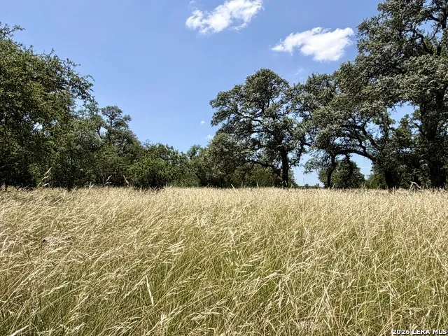 43 ACRES Sattler Rd. Spring Branch, TX 78070