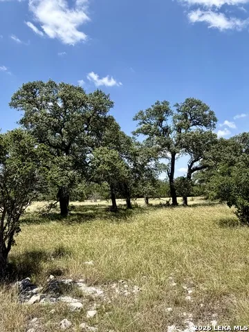 43 ACRES Sattler Rd. Spring Branch, TX 78070