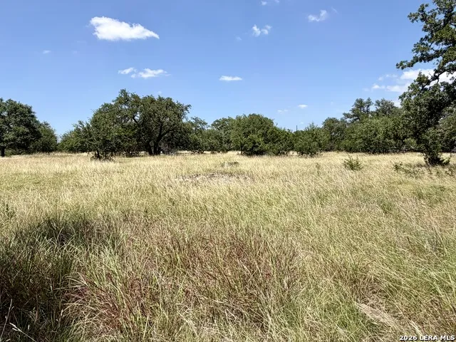 43 ACRES Sattler Rd. Spring Branch, TX 78070