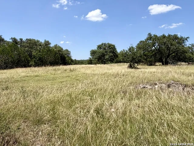 43 ACRES Sattler Rd. Spring Branch, TX 78070