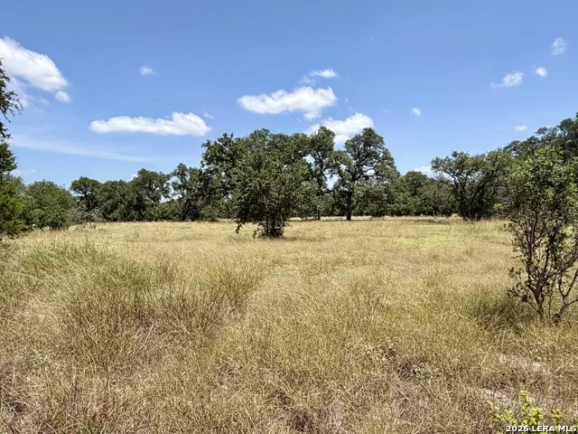 43 ACRES Sattler Rd. Spring Branch, TX 78070