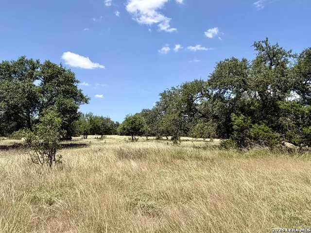 43 ACRES Sattler Rd. Spring Branch, TX 78070