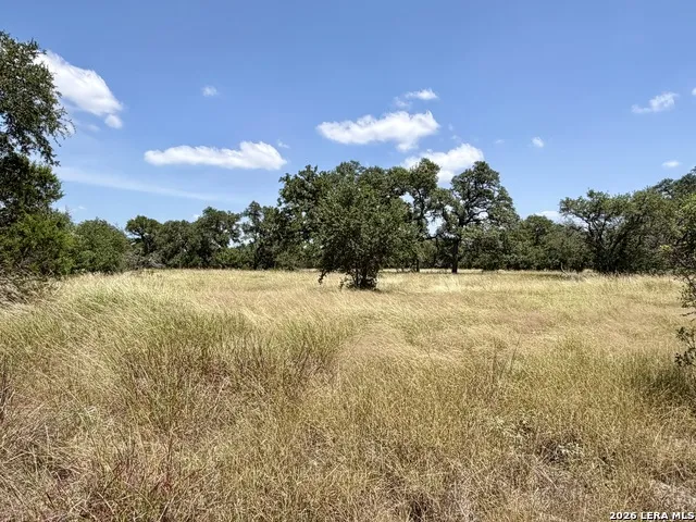 43 ACRES Sattler Rd. Spring Branch, TX 78070