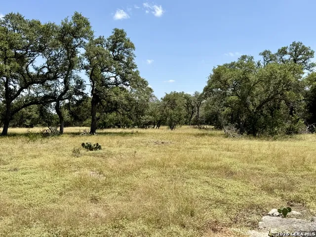 43 ACRES Sattler Rd. Spring Branch, TX 78070