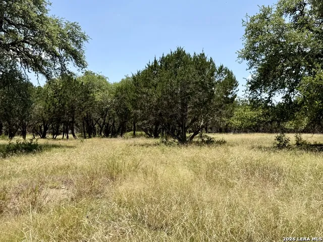 43 ACRES Sattler Rd. Spring Branch, TX 78070