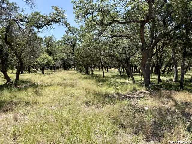 43 ACRES Sattler Rd. Spring Branch, TX 78070