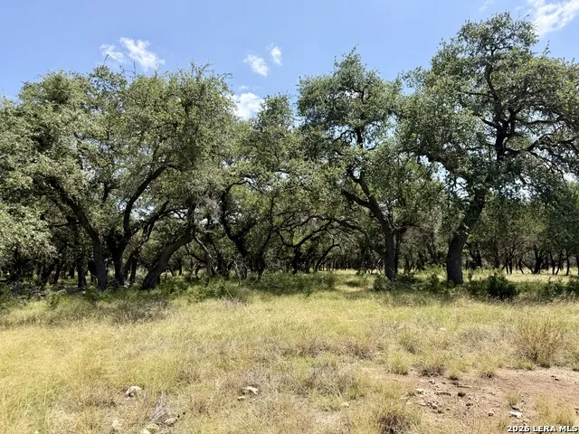 43 ACRES Sattler Rd. Spring Branch, TX 78070