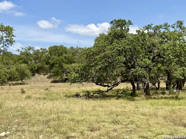 43 ACRES Sattler Rd. Spring Branch, TX 78070