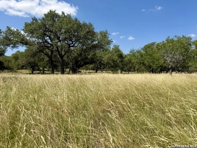 43 ACRES Sattler Rd. Spring Branch, TX 78070