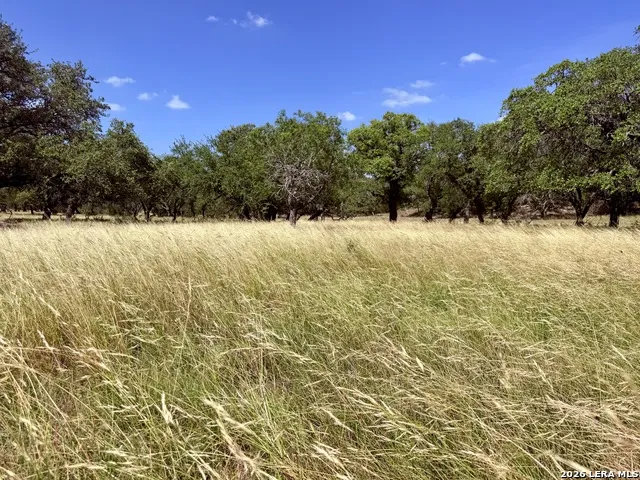 43 ACRES Sattler Rd. Spring Branch, TX 78070