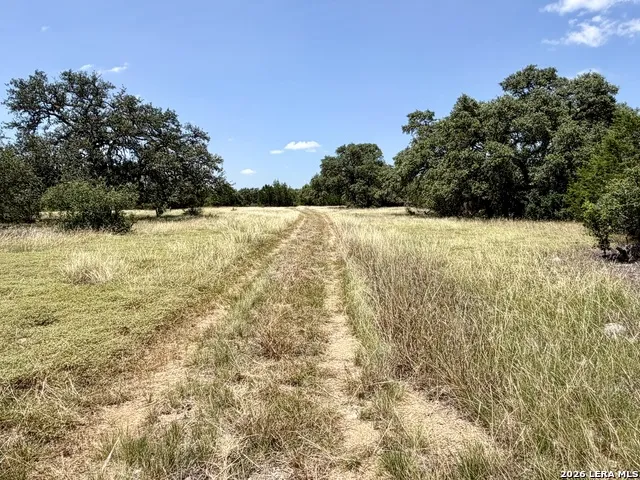 43 ACRES Sattler Rd. Spring Branch, TX 78070