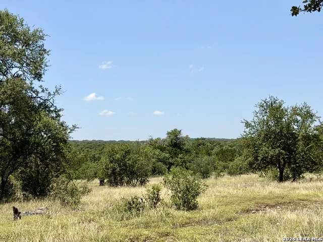 43 ACRES Sattler Rd. Spring Branch, TX 78070