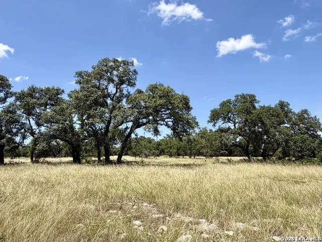 43 ACRES Sattler Rd. Spring Branch, TX 78070