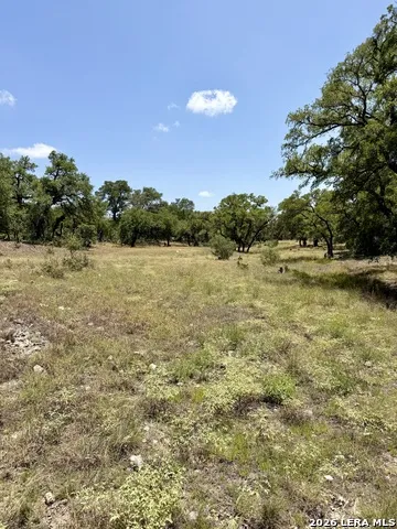 43 ACRES Sattler Rd. Spring Branch, TX 78070