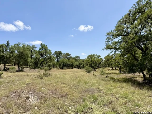 43 ACRES Sattler Rd. Spring Branch, TX 78070