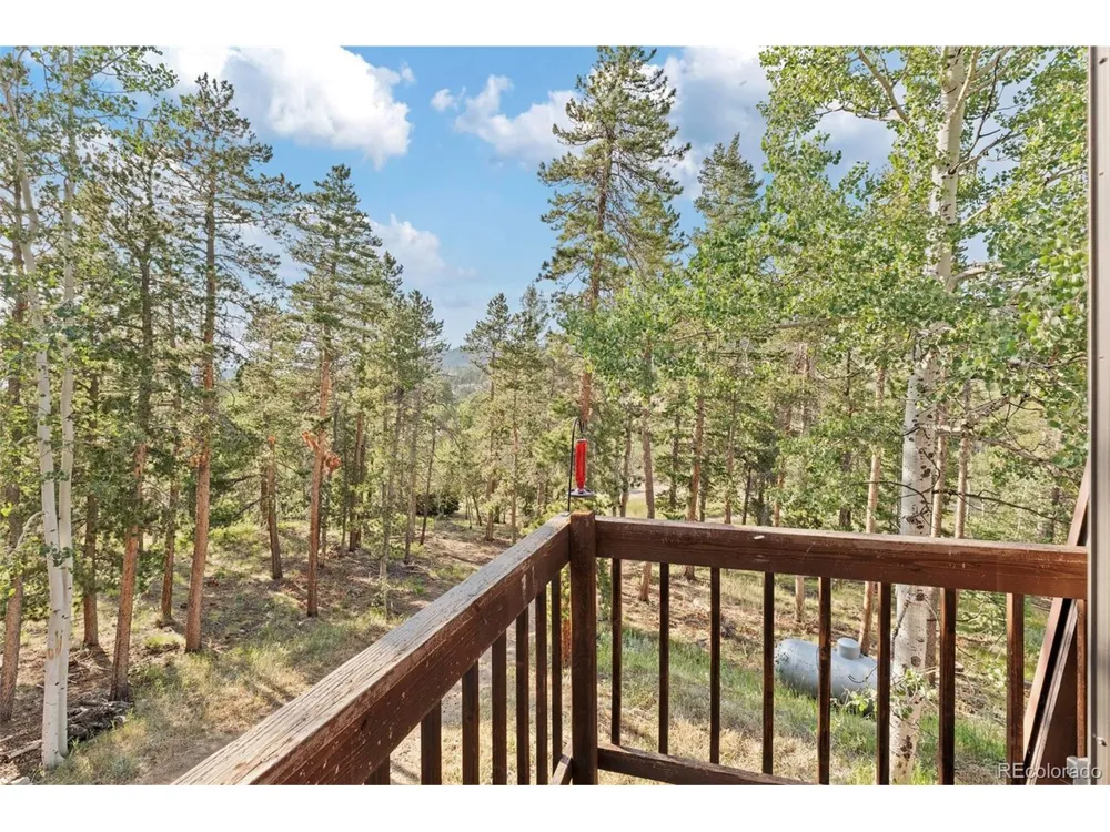 100 Raptor Point Road Golden, CO 80403