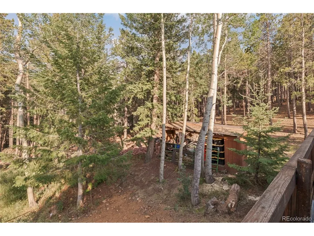 100 Raptor Point Road Golden, CO 80403