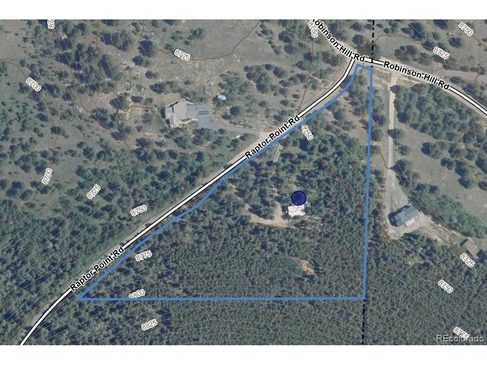 100 Raptor Point Road Golden, CO 80403