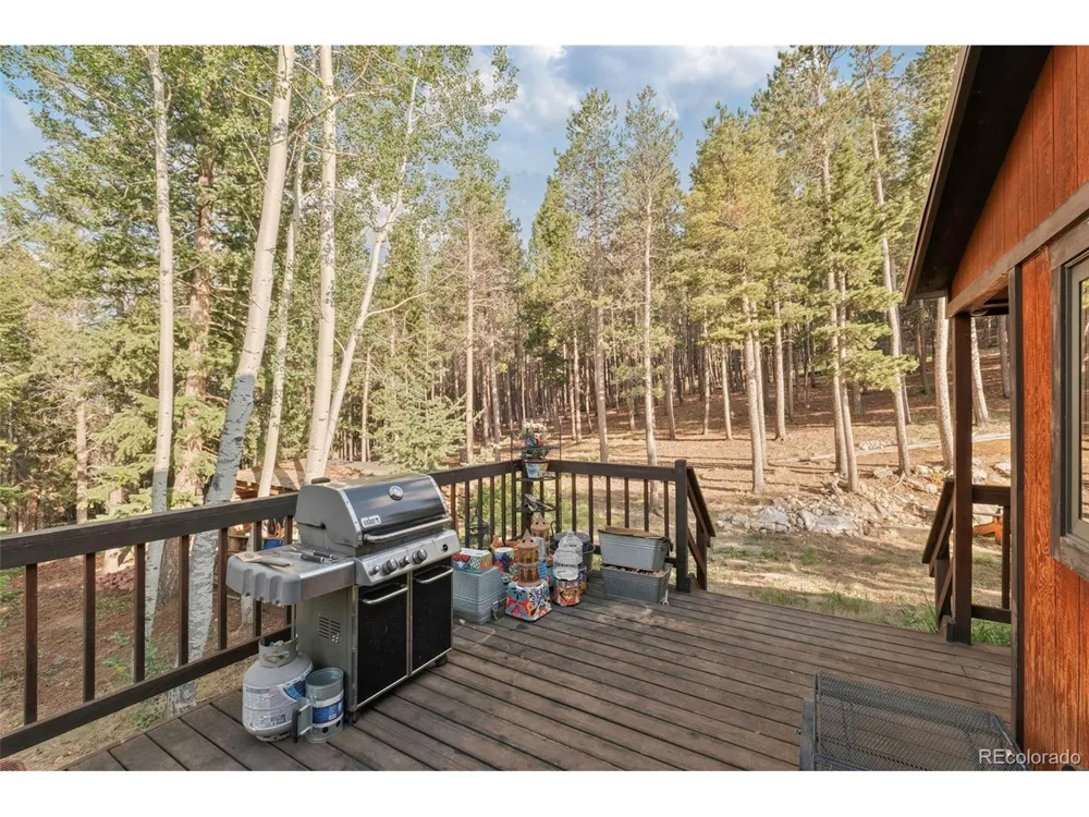 100 Raptor Point Road Golden, CO 80403