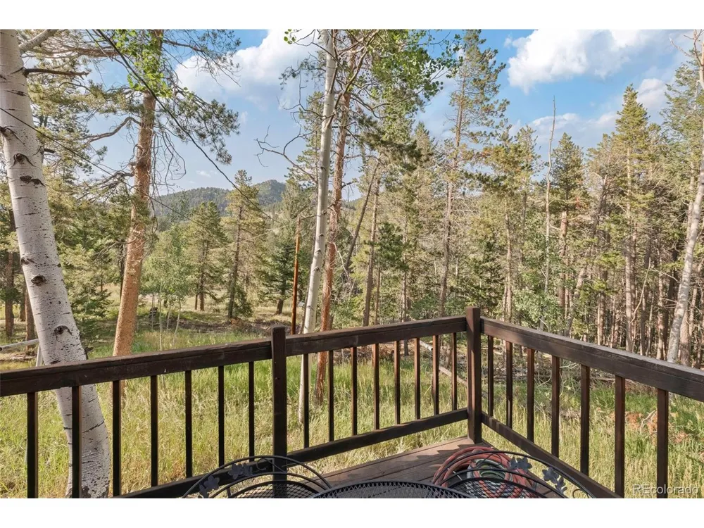 100 Raptor Point Road Golden, CO 80403