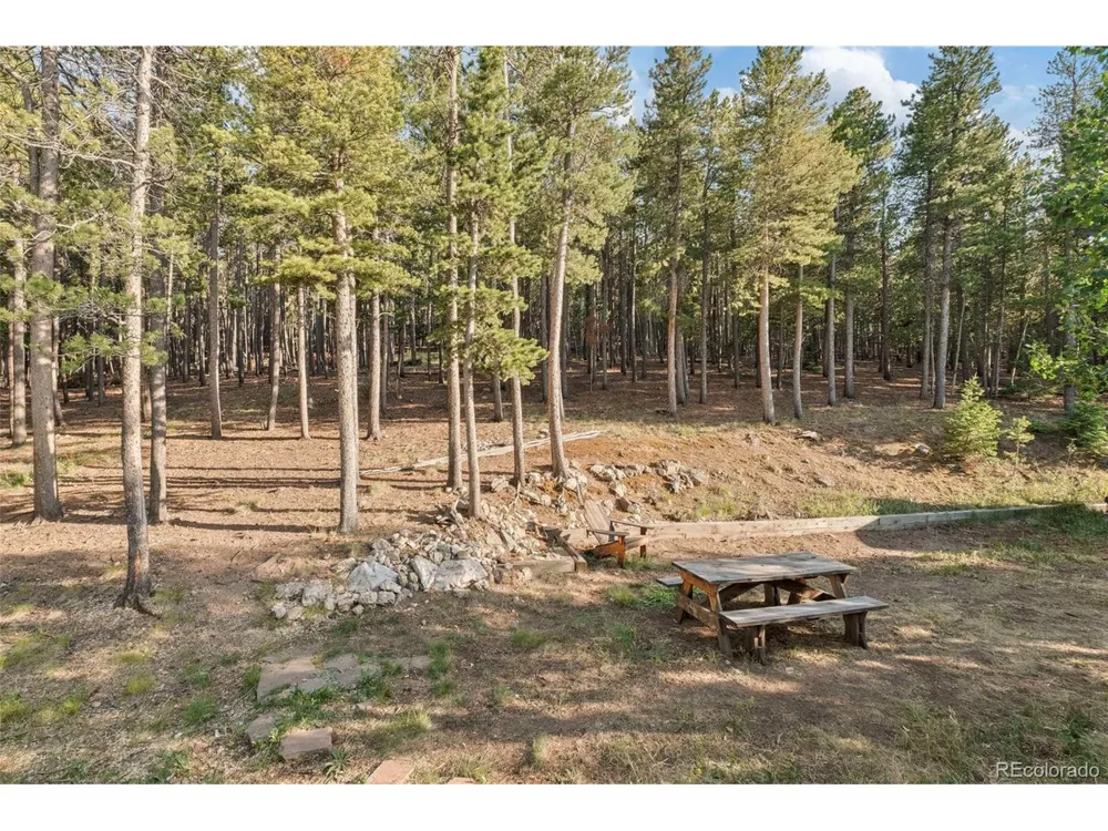 100 Raptor Point Road Golden, CO 80403