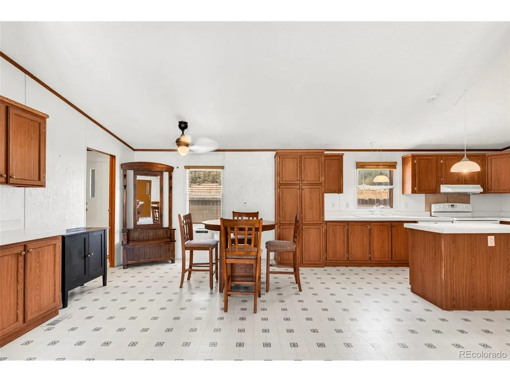 758 Shannon Road Cotopaxi, CO 81223