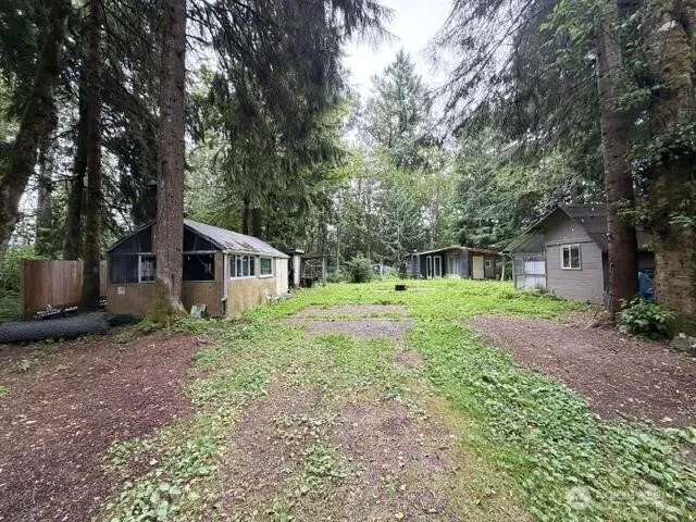 55901 317th Avenue E Ashford, WA 98304