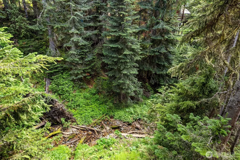 101 Gold Hill Road E Enumclaw, WA 98022